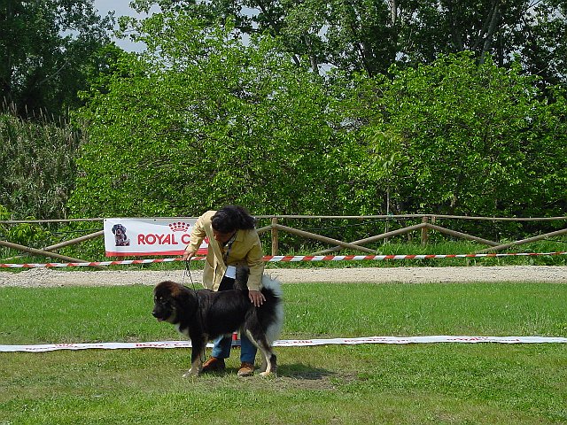 Immagine 070.jpg